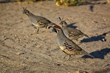 10-22-2020-cr_D7K4504-ON1-B.jpg