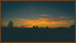DSC_9505-Edit.jpg