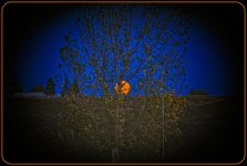 610_2170-Edit.jpg