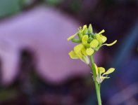 _ROY6163_00001_01.jpg