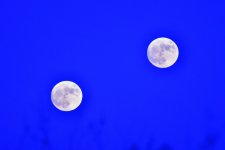 _ROY6219_00001.jpg
