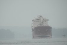 DSCN4354.jpg