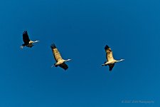 10-28-2020-cr_D7K4597-ON1.jpg