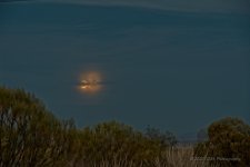 10-30-2020-cr_7503412_HDR-ON1.jpg