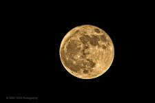 10-31-2020-cr_D7K4616-ON1.jpg