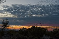 11-01-2020-cr_7503418-ON1.jpg