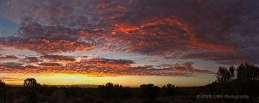 11-02-2020-cr_7503439 Pano-ON1.jpg
