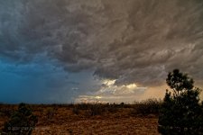 11-07-2020-cr_7503460_HDR-ON1.jpg