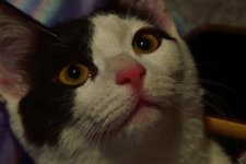 _ROY7005_00001.jpg