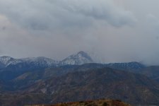 _ROY7065_00001.jpg