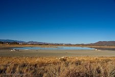 11-10-2020-cr__7503488-ON1.jpg
