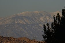 _ROY7152_00001.jpg