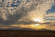 11-12-2020-cr__7503503_HDR-ON1.jpg