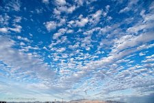 11-12-2020-cr__7503507-ON1.jpg