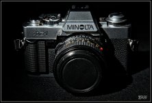 _71D4050_web.jpg