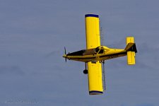 11-13-2020-cr__D7K4636-ON1.jpg