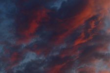 _ROY7264_00001.jpg
