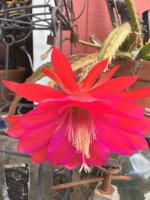 2017-06-03 11.59.56 HDR-s.jpg