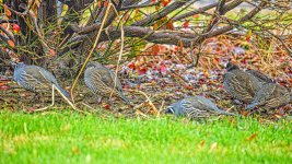 610_2501-Edit.jpg
