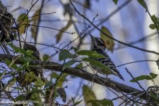 20201112-RD5_4585-Edit-Edit.jpg