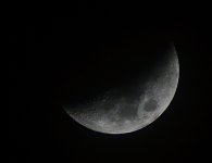 _ROY8409_00001.jpg