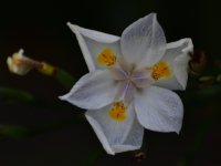 _ROY8424_00001.jpg
