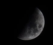 _ROY8474_00001_01.jpg