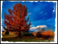 750_8324-Edit.jpg