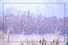 610_2558-HDR-Edit.jpg