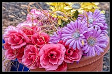 750_8325-Edit.jpg