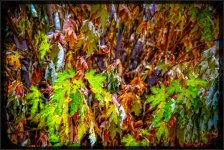 750_8351-Edit.jpg