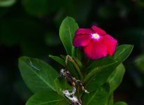 _ROY9038_00001.jpg