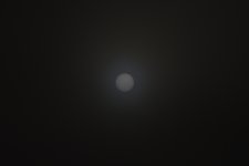 _ROY9071_00001.jpg