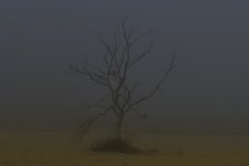 _ROY9074_00001.jpg