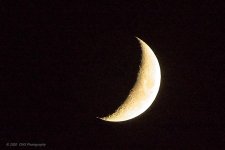 11-19-2020-cr__D7K4663-ON1.jpg