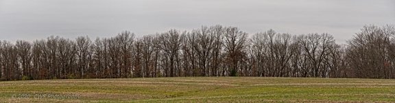 11-20-2020-cr__7503534 Pano-ON1.jpg