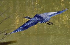 _ROY0024_00001_01.jpg