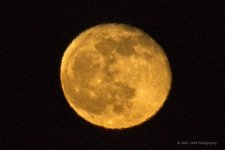 12-01-2020-cr__D7K4681-ON1.jpg