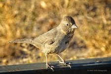 12-07-2020-cr__D7K4696-ON1.jpg