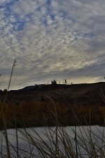 _ROY0979_00001.jpg