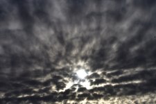 _ROY0983_00001.jpg