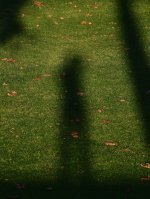 _ROY1156_00001.jpg