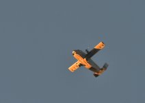 _ROY1204_00001_01.jpg