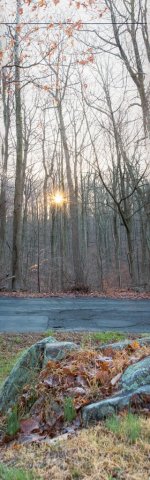 Vertical Stitch 12.13.2020-1.jpg