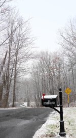 Vertical Stitch 1 12.14.2020-1.jpg