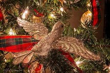 12-15-2020-cr__7503666-ON1-2.jpg