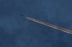 _ROY1907_00001.jpg