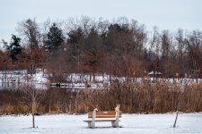 _DSC0518 low res.jpg