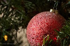 12-20-2020-cr__D7K4779-ON1 copy.jpg