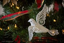 12-20-2020-cr__D7K4782-ON1.jpg